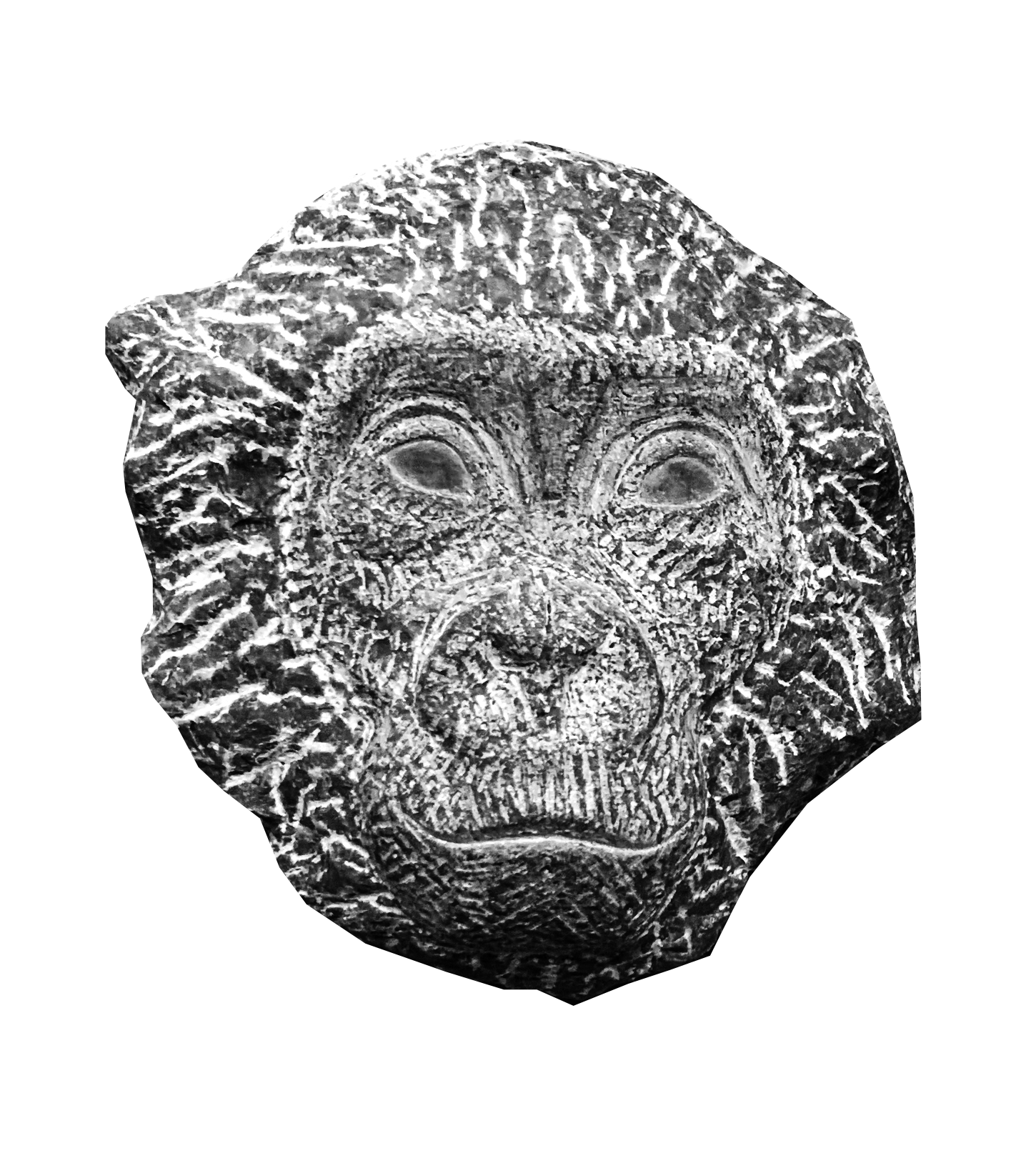 Affe